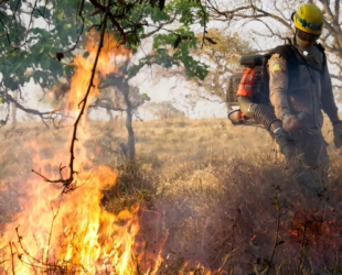 Governo de Goiás reforça atuação para reduzir incêndios em áreas urbanas
