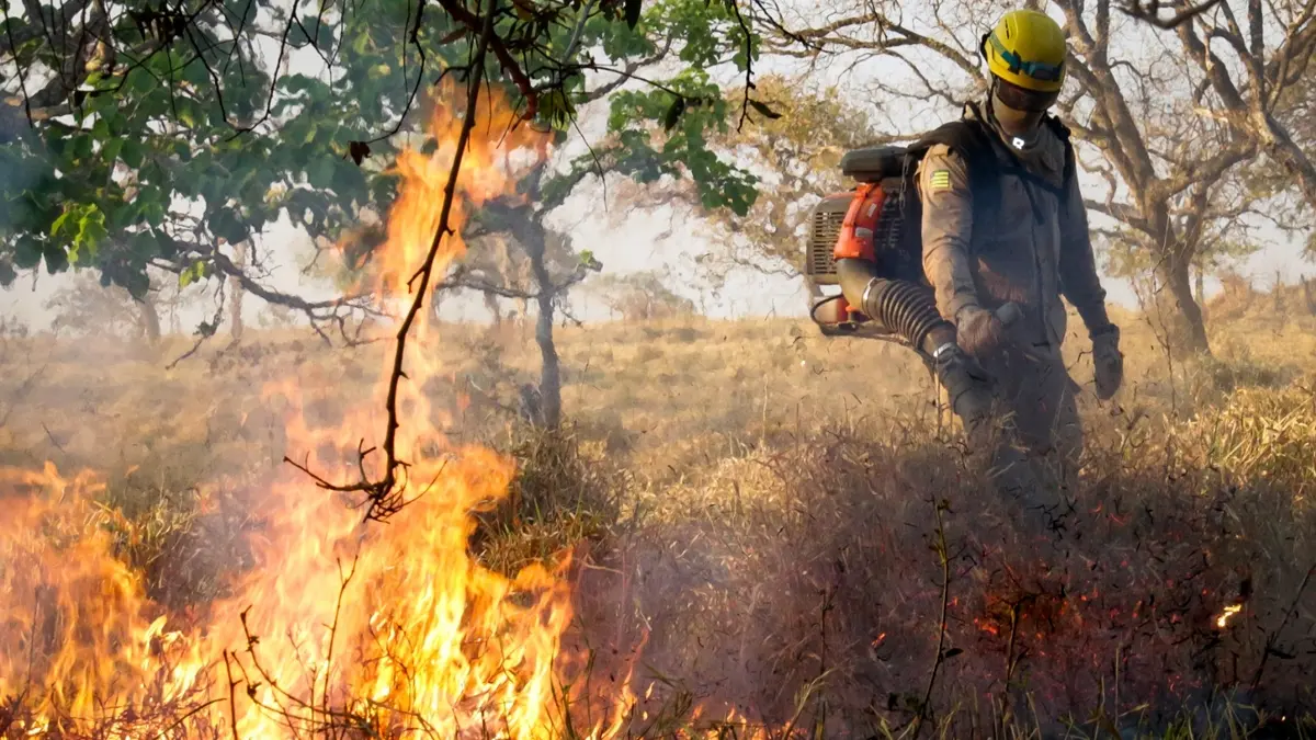 Governo de Goiás reforça atuação para reduzir incêndios em áreas urbanas