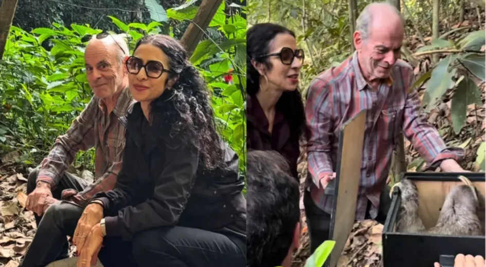 Ney Matogrosso e Marisa Monte soltam bicho-preguiça no sítio do cantor após reabilitação do animal