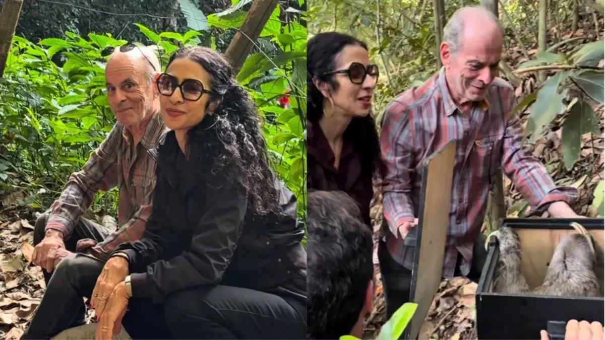 Ney Matogrosso e Marisa Monte soltam bicho-preguiça no sítio do cantor após reabilitação do animal