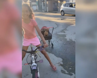 Criança dá 'carona' à cachorrinha em passeio de bicicleta e viraliza
