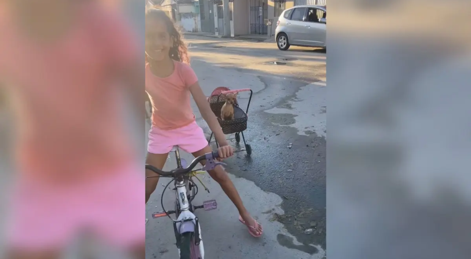 Criança dá 'carona' à cachorrinha em passeio de bicicleta e viraliza