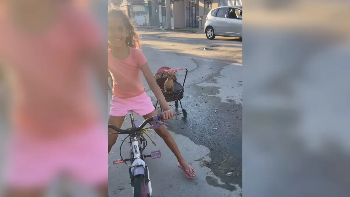 Criança dá 'carona' à cachorrinha em passeio de bicicleta e viraliza